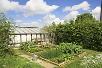 Small vegetable plot with small beds containing salad and vegetable crops, UK, May