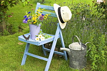 Summer Garden scene with Cut flowers in bucket on garden seat, UK