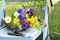 Summer Garden scene with cut flowers in trug on garden seat, UK