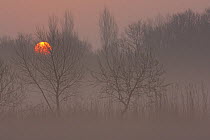 Sunrise over the Norfolk Broads. Hickling Broad, Norfolk, England. March.