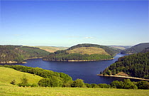 Llyn Brianne Reservoir, Carmarthenshire, Wales. Close to the Dinas RSPB Reserve