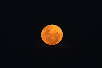 Full Moon over North Western Botswana, 13th May 2006