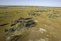 Flood plain of the Okavango Delta during the Dry Season, Botswana