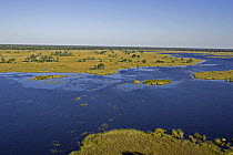 The Okavango River penetrates the flood plain of the Okvango Delta during the dry season, Botswana