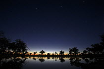 Fading light over a waterhole on the Okavango Delta in winter, Botswana. Constellation of Orion at centre of the sky