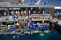 Quicksilver Pontoon with tourists preparing to snorkel, Great Barrier Reef, Queensland, Australia 2006