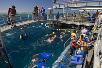 People snorkeling from Quicksilver Pontoon, Great Barrier Reef, Queensland, Australia 2006