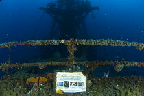 The sunken wreck of HMAS Perth has formed an artifical reef off the coast of Albany, Western Australia. Photographic display panel