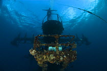 The sunken wreck of HMAS Perth has formed an artifical reef off the coast of Albany, Western Australia