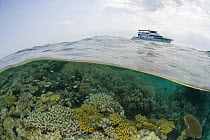 Split level coral reef shallows with Kimberley Escape Rowley Shoals, Western Australia