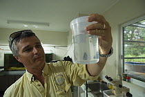 Dr. Jamie Seymour, senior lecturer at the School of Tropical Biology at James Cook University, Cairns, inspecting the contents of a beaker.