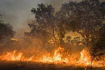 Bushfire in the outback. Derby, Western Australia