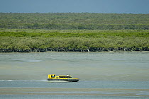 Hovercraft and mangrove swamps, Broome, Western Australia