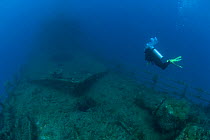 Diver exploring the artificial reef created by the wreck of the HMAS Swan, Dunsborough, Western Australia