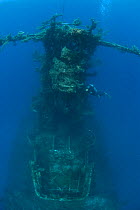 Diver exploring the artificial coral reef created by the wreck of the HMAS Swan, Dunsborough, Western Australia