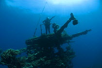 Diver exploring the artificial reef created by the wreck of the HMAS Swan, Dunsborough, Western Australia