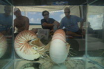 Nautilus onboard the Undersea Explorer research vessel with three scientists in the background, Queensland, Australia