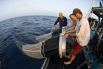 Dr Billy Sinclair and team checking a large 2-cone plankton net which has been dragged behind research vessel (researchers from Central Queensland University, Rockhampton). Queensland, Australia
