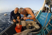 Checking a plankton net on a research vessel (researchers from Central Queensland University, Rockhampton). Queensland, Australia