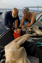 Checking a plankton net on a research vessel (researchers from Central Queensland University, Rockhampton). Queensland, Australia