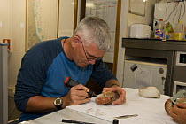 Dr Billy Sinclair engraves tracking number on a nautilus onboard the research vessel Undersea Explorer. Queensland, Australia