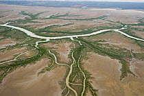 Aerial of mud flats and mangroves of Derby, in the Kimberley, Western Australia
