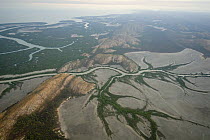 Aerial of Mud flats and mangroves of Derby, King Sound, Western Australia