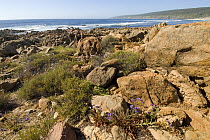 The coastline of Yallingup, Western Australia