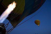 Burner inflating Raging Thunder hot air balloon, Mareeba, Atherton Tablelands, Queensland, Australia