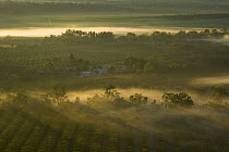 Aerial view of the Atherton Tablelands, Queensland, Australia