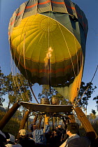 Raging Thunder hot air balloon, Mareeba, Atherton Tablelands, Queensland, Australia