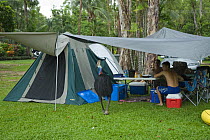 Australian Cassowary (Casuarius casuarius) at a campsite, watched by campers. Mission Beach, Queensland, Australia