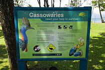 Conservation sign about cassowaries, Queensland, Australia