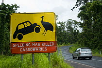 Road warning sign regarding cassowaries, Queensland, Australia