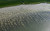Aerial view of mudflats and mangroves near Cairns, Queensland, Australia