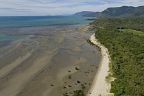 Aerial view of mangrove forest and beach near Cairns, Queensland, Australia