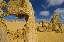 Limestone formations in the Pinnacles Desert, Nambung National Park, Western Australia