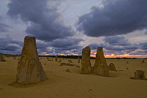 Sunset over the limestone formations of the Pinnacles Desert, Nambung National Park, Western Australia