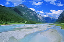 Yoho River meandering through Yoho National Park, British Columbia, Canada. July 2001
