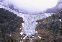 Angel Glacier, Jasper National Park, Alberta, Canada. July 2001