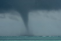 Water Spout and storm over the ocean, Tubbataha Reef, Palawan, Philippines.
