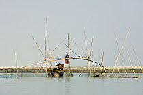 Traditional Chinese fishing technique with poles, Bangladesh
