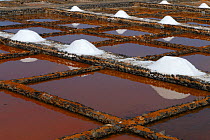 Piles of salt at the Salinas del Carmen (Saltpans of Carmen), Fuerteventura, Canary Isles, Spain, September 2007