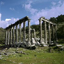 Temple of Zeus at Euromos, Turkey
