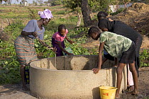 Women drawing water from well to water their crops, Bakau rice fields, Gambia, 2007