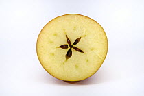 Cross section through apple showing star shape with pips / seeds