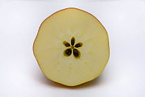 Cross section through apple showing star shape with pips / seeds