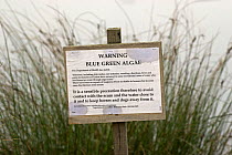 Warning sign for Blue-Green Algae on water surface, Richmond Park, London, UK, 2007