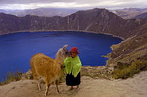 Quichua Indian child with her llama {Lama glama} Quilatoa Crater Lake, Andes, Ecuador