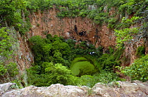 Sink hole now used by Macaws for nesting, Serra da Bodoquena. Limestone elevated area which divides the Pantanal and the Cerrado. Mato Grosso do Sur Province, Brazil